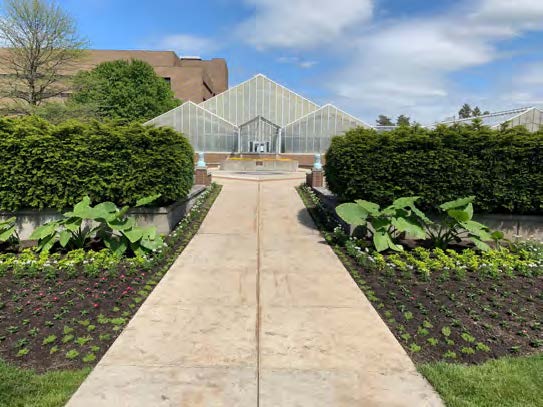 Designing Our Annual Garden Displays Department Of Horticulture